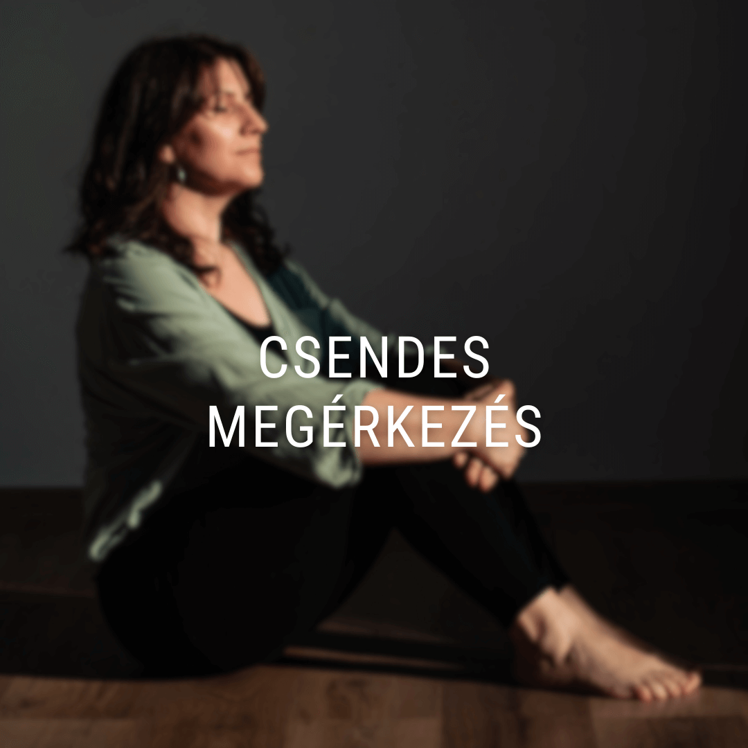 Jelenlét gyakorlatok 2 langer rozi csendes megerkezes